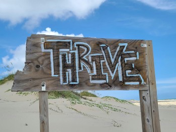 E-commerce Success Stories: Businesses Thriving on Thulo Sites